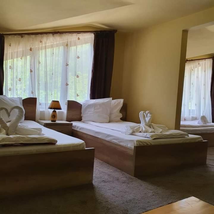 Pensiunea Mirela Pestera Ursilor Chiscau المظهر الخارجي الصورة